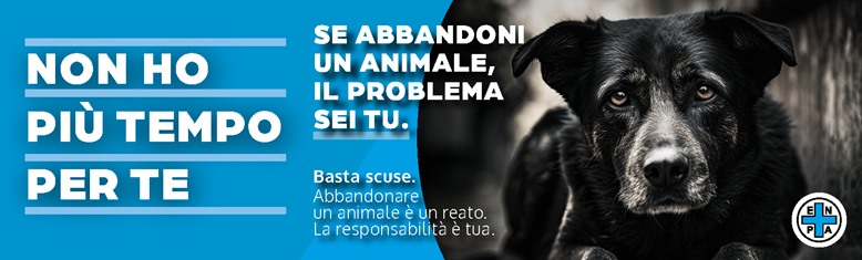 L’Ente Nazionale Protezione Animali ha lanciato in questi giorni la campagna antiabbandono 2023 “Basta scuse” per porre l’attenzione sulla mancanza del senso di responsabilità che, spesso, induce le persone a darsi delle giustificazioni plausibili per compiere un gesto inqualificabile: l'abbandono.